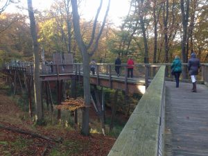 ruegen-Baumwipfelpfad-station