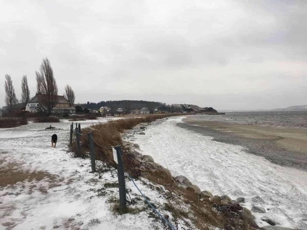 ruegen mit hund